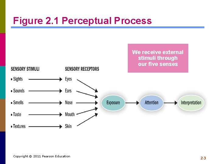 Figure 2. 1 Perceptual Process We receive external stimuli through our five senses Copyright