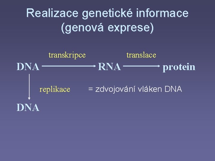 Realizace genetické informace (genová exprese) transkripce DNA replikace DNA translace RNA protein = zdvojování