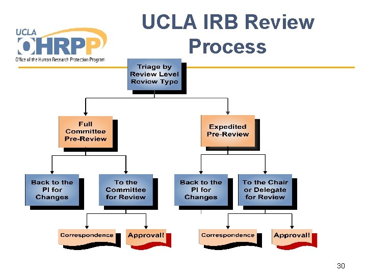 UCLA IRB Review Process 30 