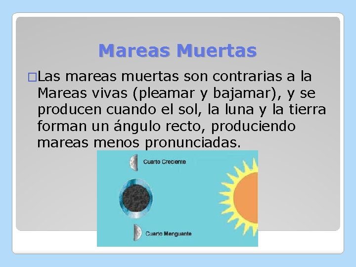 Mareas Muertas �Las mareas muertas son contrarias a la Mareas vivas (pleamar y bajamar),