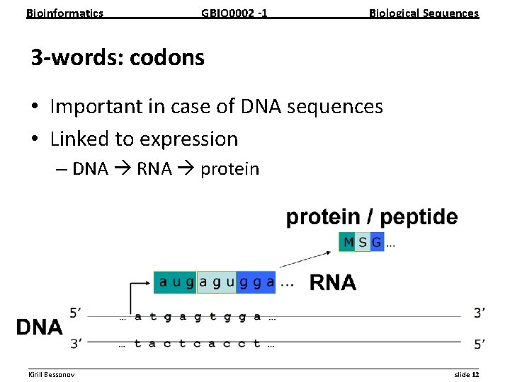 Bioinformatics GBIO 0002 1 Biological Sequences 3 words: codons • Important in case of