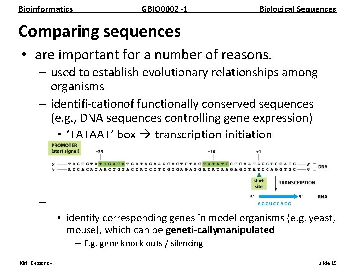 Bioinformatics GBIO 0002 1 Biological Sequences Comparing sequences • are important for a number