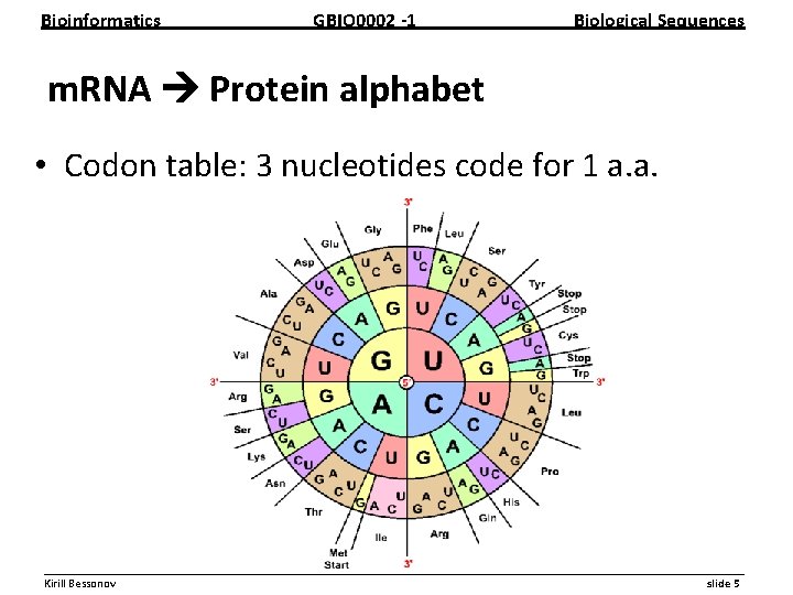 Bioinformatics GBIO 0002 1 Biological Sequences m. RNA Protein alphabet • Codon table: 3