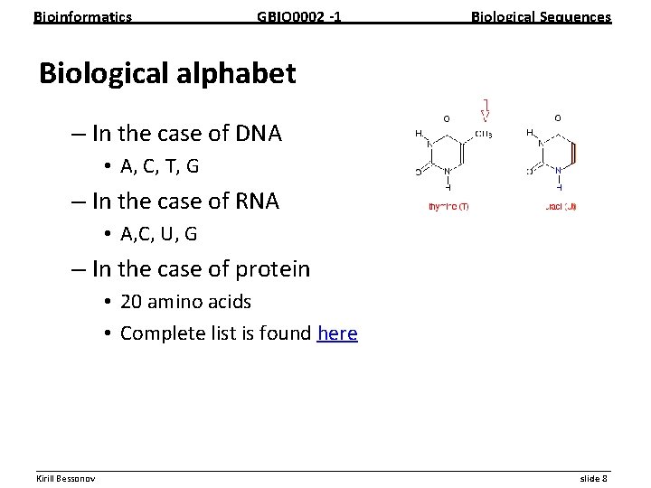 Bioinformatics GBIO 0002 1 Biological Sequences Biological alphabet – In the case of DNA