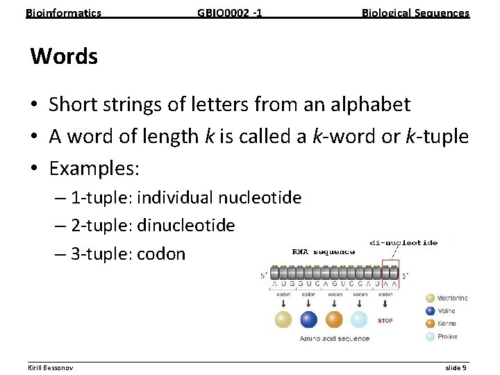 Bioinformatics GBIO 0002 1 Biological Sequences Words • Short strings of letters from an