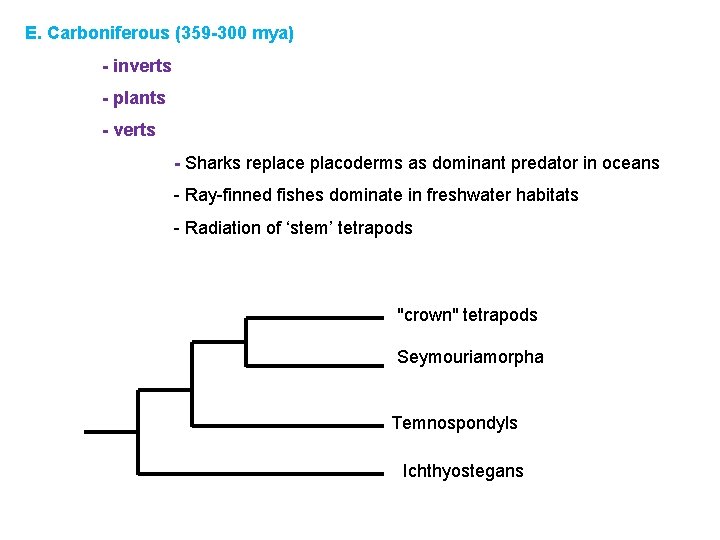 E. Carboniferous (359 -300 mya) - inverts - plants - verts - Sharks replace