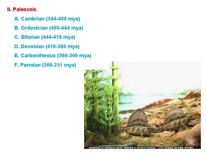 II. Paleozoic A. Cambrian (544 -488 mya) B. Ordovician (488 -444 mya) C. Silurian