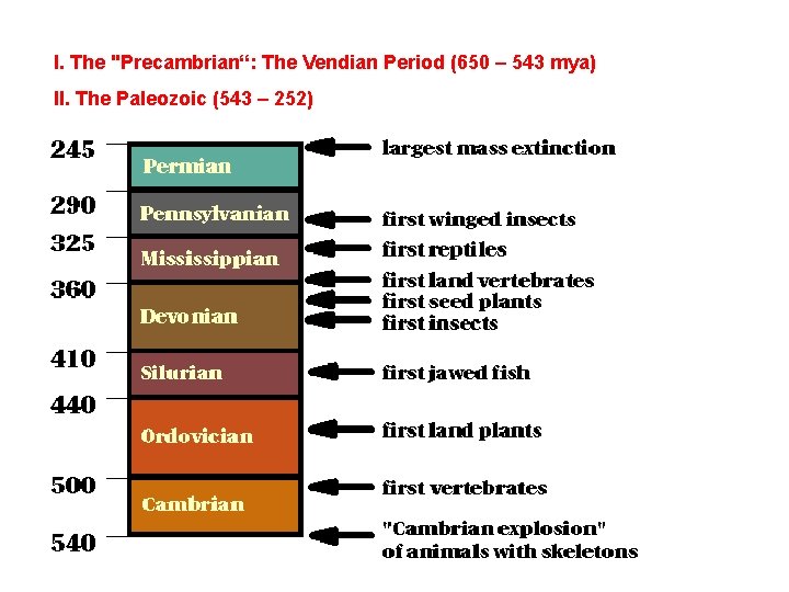 I. The "Precambrian“: The Vendian Period (650 – 543 mya) II. The Paleozoic (543