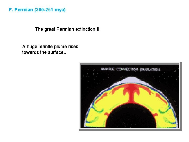 F. Permian (300 -251 mya) The great Permian extinction!!!! A huge mantle plume rises