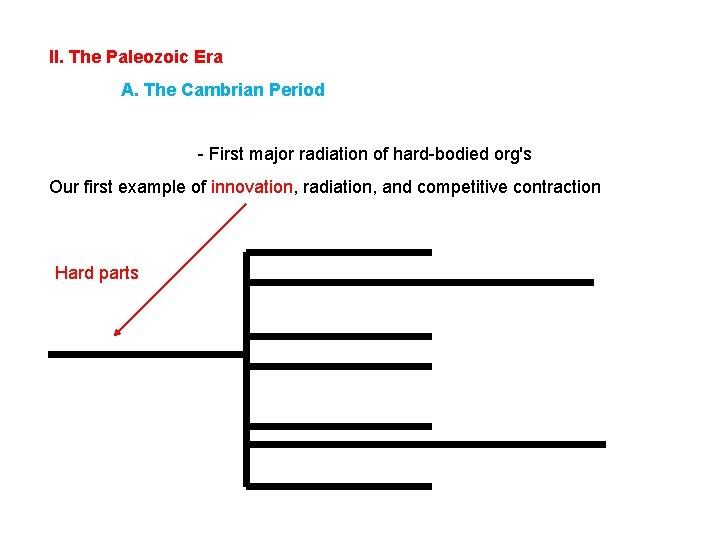 II. The Paleozoic Era A. The Cambrian Period - First major radiation of hard-bodied