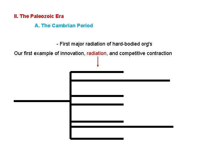 II. The Paleozoic Era A. The Cambrian Period - First major radiation of hard-bodied