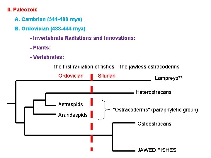 II. Paleozoic A. Cambrian (544 -488 mya) B. Ordovician (488 -444 mya) - Invertebrate