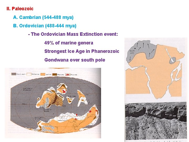 II. Paleozoic A. Cambrian (544 -488 mya) B. Ordovician (488 -444 mya) - The