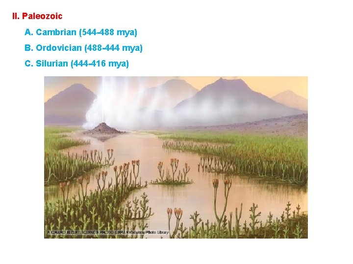 II. Paleozoic A. Cambrian (544 -488 mya) B. Ordovician (488 -444 mya) C. Silurian