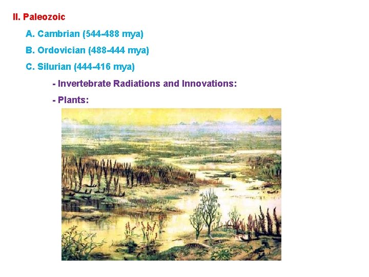 II. Paleozoic A. Cambrian (544 -488 mya) B. Ordovician (488 -444 mya) C. Silurian