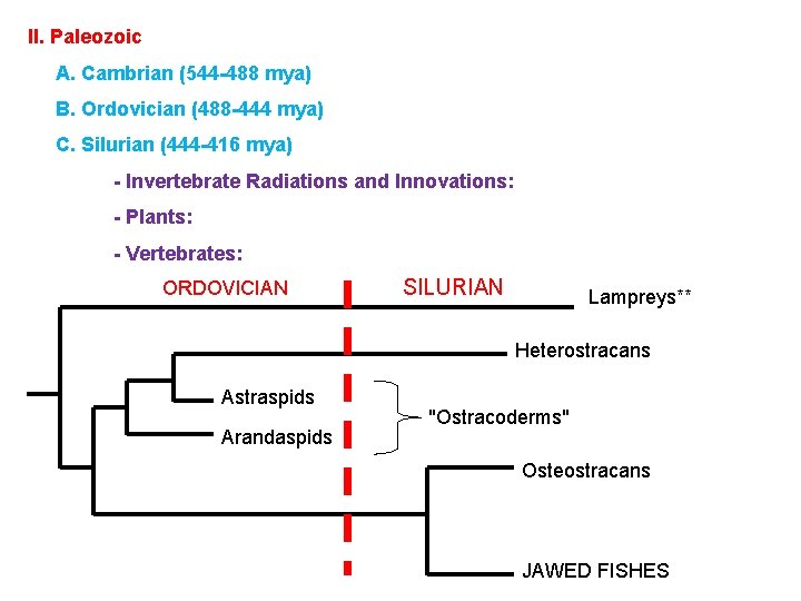 II. Paleozoic A. Cambrian (544 -488 mya) B. Ordovician (488 -444 mya) C. Silurian