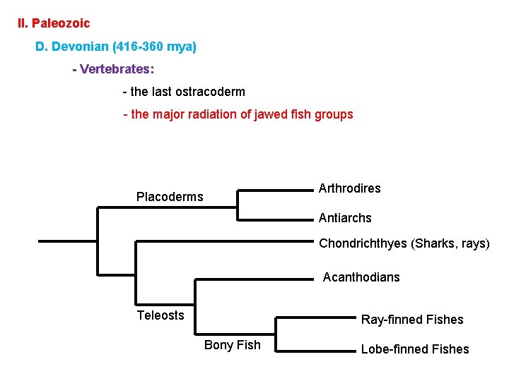 II. Paleozoic D. Devonian (416 -360 mya) - Vertebrates: - the last ostracoderm -