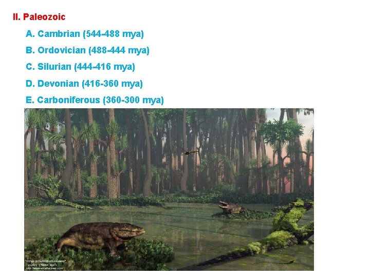 II. Paleozoic A. Cambrian (544 -488 mya) B. Ordovician (488 -444 mya) C. Silurian