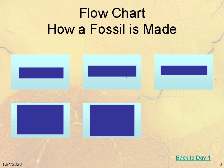 Flow Chart How a Fossil is Made The animal dies. Layers of sediment cover