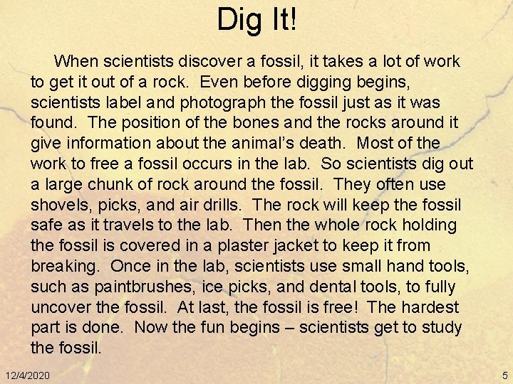 Dig It! When scientists discover a fossil, it takes a lot of work to