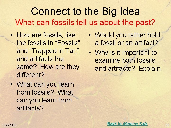 Connect to the Big Idea What can fossils tell us about the past? •