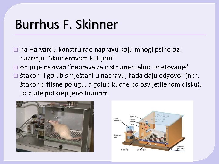 Burrhus F. Skinner na Harvardu konstruirao napravu koju mnogi psiholozi nazivaju “Skinnerovom kutijom” �