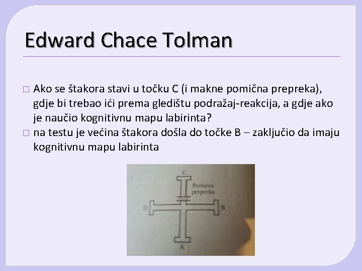 Edward Chace Tolman Ako se štakora stavi u točku C (i makne pomična prepreka),