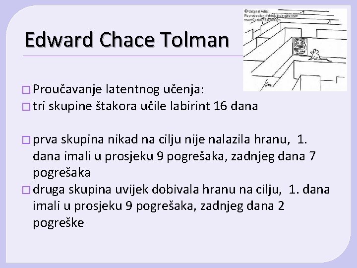 Edward Chace Tolman � Proučavanje latentnog učenja: � tri skupine štakora učile labirint 16