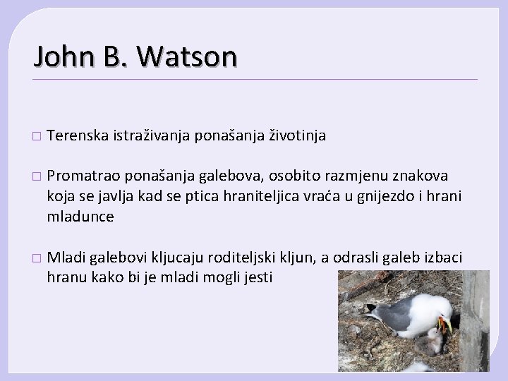 John B. Watson � Terenska istraživanja ponašanja životinja � Promatrao ponašanja galebova, osobito razmjenu