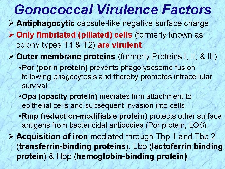 Gonococcal Virulence Factors Ø Antiphagocytic capsule-like negative surface charge Ø Only fimbriated (piliated) cells