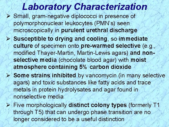 Laboratory Characterization Ø Small, gram-negative diplococci in presence of polymorphonuclear leukocytes (PMN’s) seen microscopically