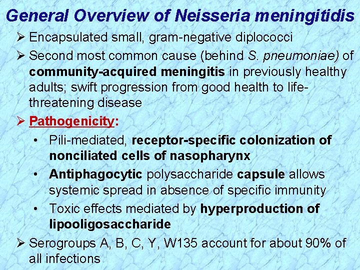 General Overview of Neisseria meningitidis Ø Encapsulated small, gram-negative diplococci Ø Second most common