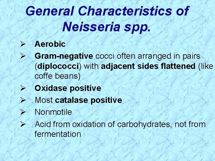 General Characteristics of Neisseria spp. Ø Aerobic Ø Gram-negative cocci often arranged in pairs