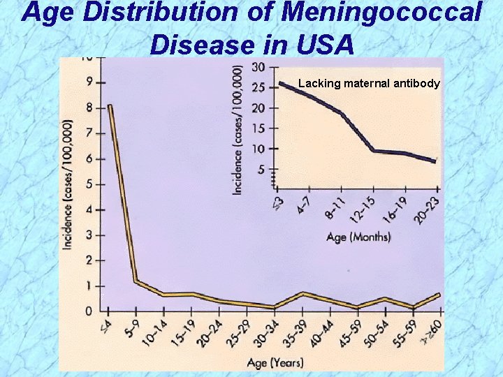 Age Distribution of Meningococcal Disease in USA Lacking maternal antibody 