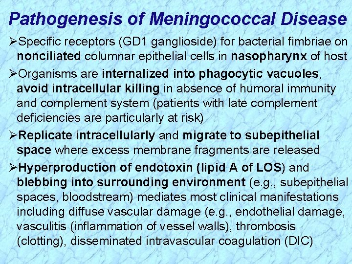 Pathogenesis of Meningococcal Disease ØSpecific receptors (GD 1 ganglioside) for bacterial fimbriae on nonciliated