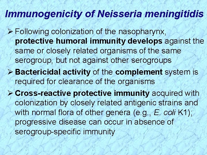 Immunogenicity of Neisseria meningitidis Ø Following colonization of the nasopharynx, protective humoral immunity develops