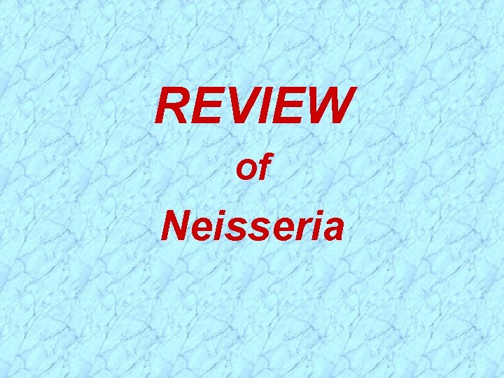 REVIEW of Neisseria 