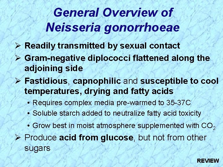 General Overview of Neisseria gonorrhoeae Ø Readily transmitted by sexual contact Ø Gram-negative diplococci