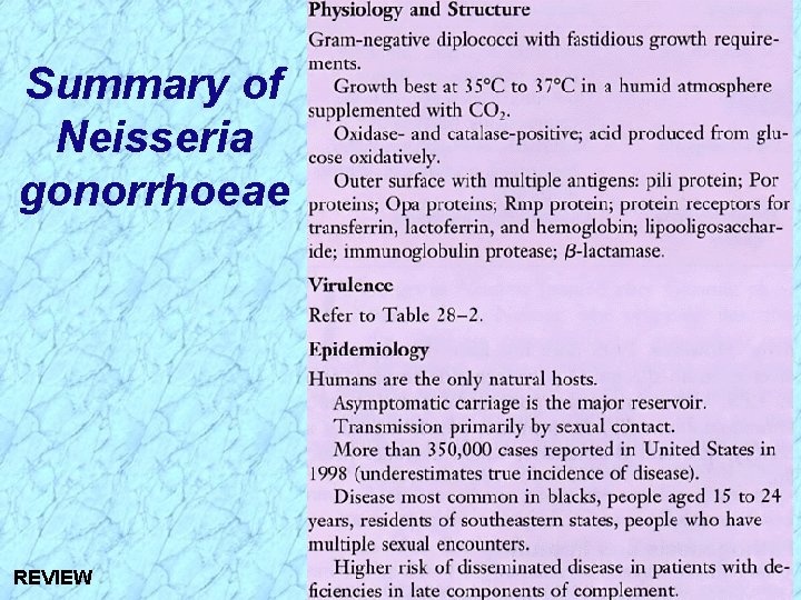 Summary of Neisseria gonorrhoeae REVIEW 
