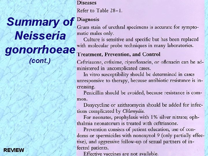 Summary of Neisseria gonorrhoeae (cont. ) REVIEW 