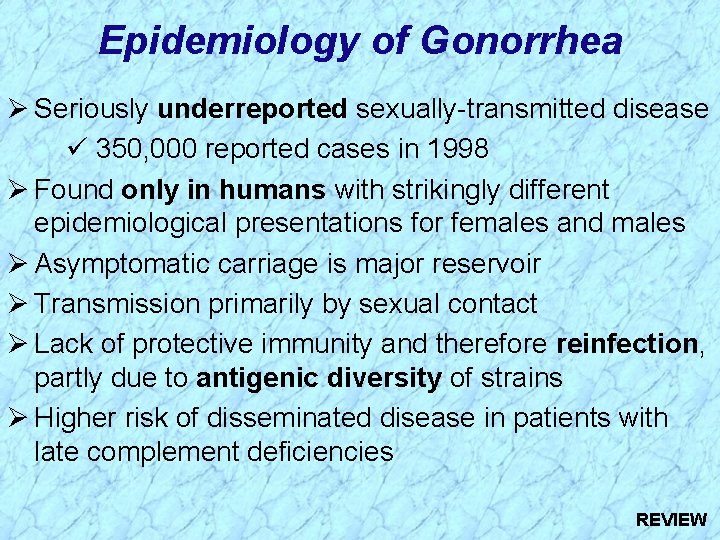 Epidemiology of Gonorrhea Ø Seriously underreported sexually-transmitted disease ü 350, 000 reported cases in