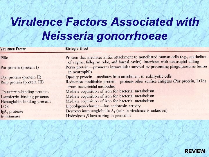 Virulence Factors Associated with Neisseria gonorrhoeae REVIEW 