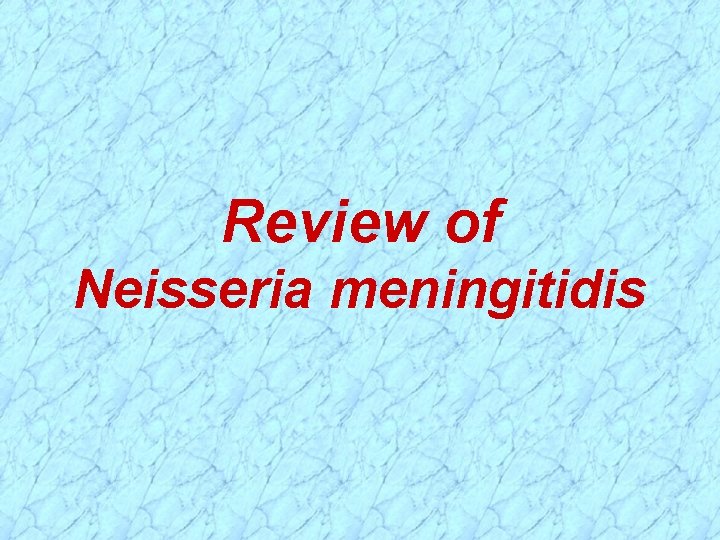 Review of Neisseria meningitidis 