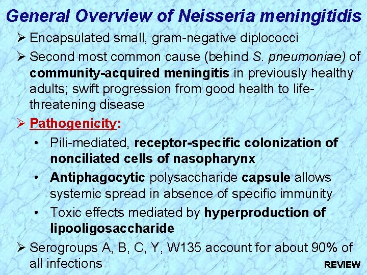 General Overview of Neisseria meningitidis Ø Encapsulated small, gram-negative diplococci Ø Second most common