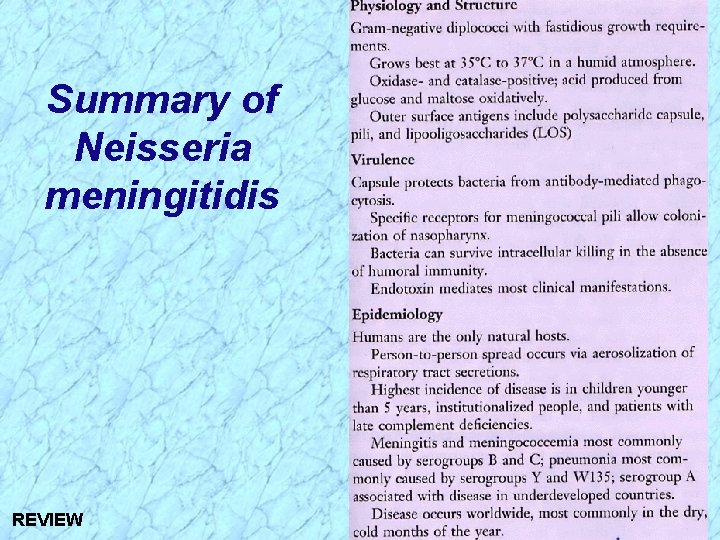 Summary of Neisseria meningitidis REVIEW 