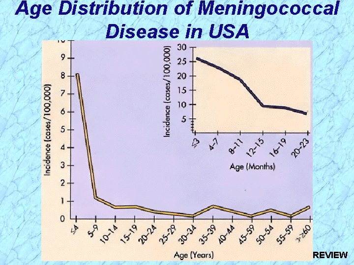 Age Distribution of Meningococcal Disease in USA REVIEW 