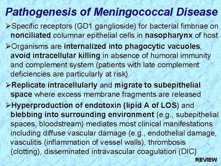 Pathogenesis of Meningococcal Disease ØSpecific receptors (GD 1 ganglioside) for bacterial fimbriae on nonciliated