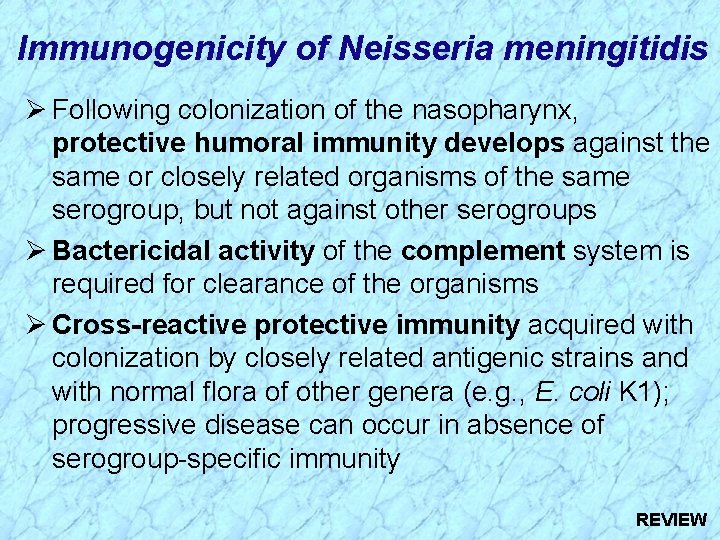 Immunogenicity of Neisseria meningitidis Ø Following colonization of the nasopharynx, protective humoral immunity develops