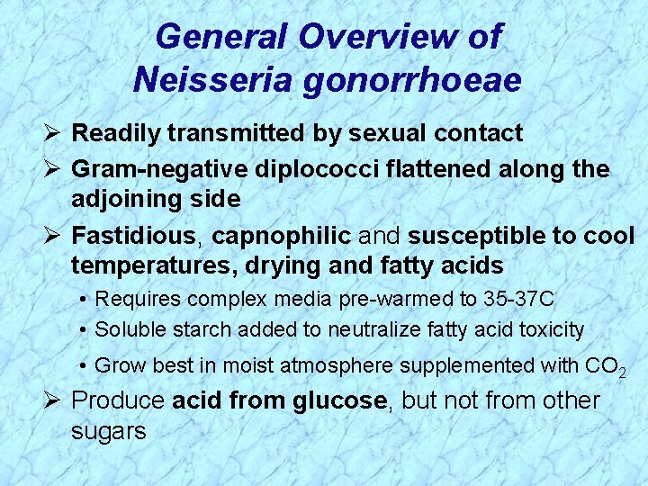 General Overview of Neisseria gonorrhoeae Ø Readily transmitted by sexual contact Ø Gram-negative diplococci