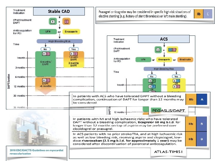 Stable CAD ACS 